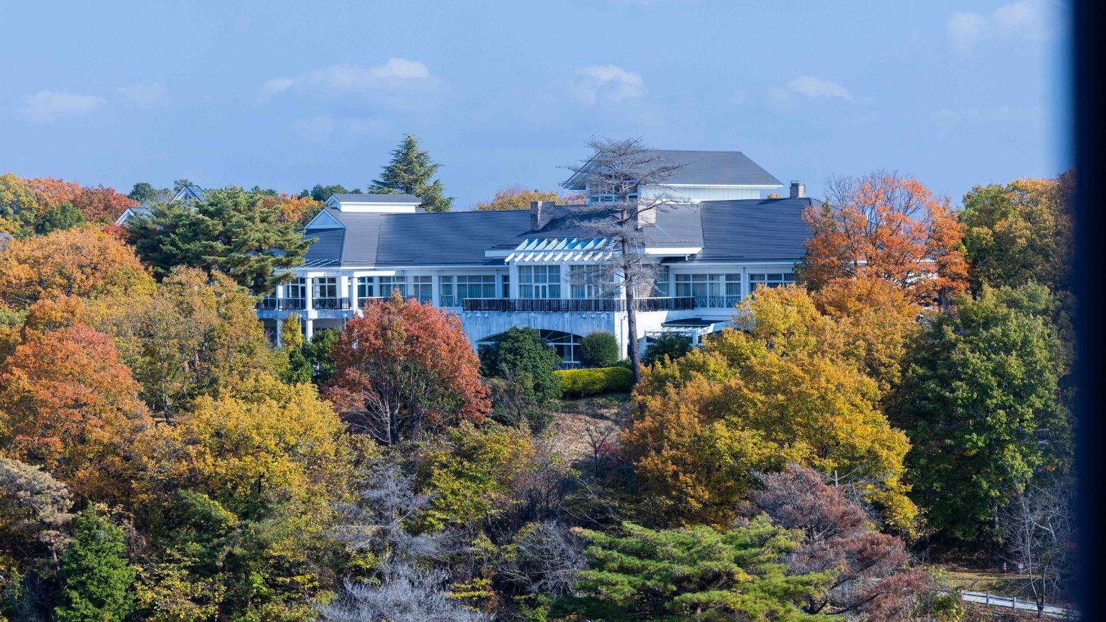 ガーデンビューシングル　景色　昼