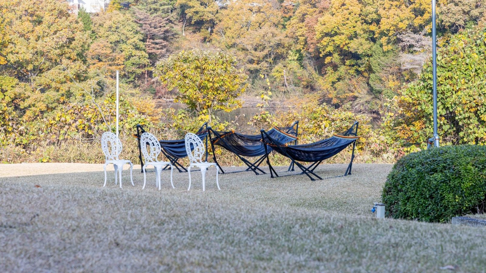 アチェロ外　ハンモック