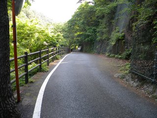 渓谷道路