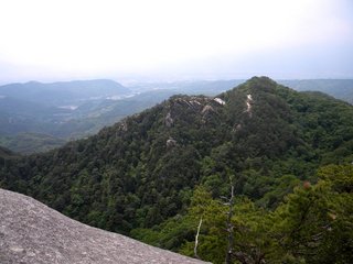 弥三郎岳へ5