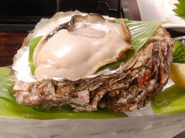 ぷりっぷり　美味しさが違う！！能登岩がき