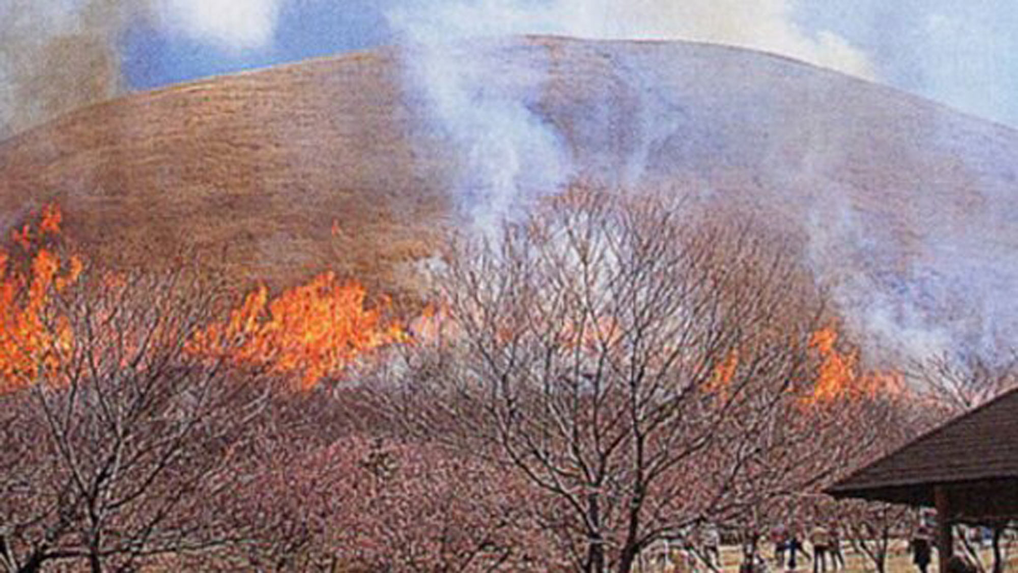 *周辺観光／大室山の山焼き