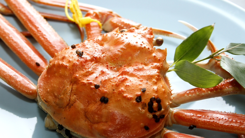 【活ズワイガニコース】★オール活蟹使用★様々なカニ料理に舌鼓◎旬の贅沢に酔いしれるひと時を…