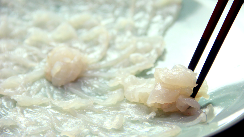 【若狭ふぐコース】笑う門には福（ふぐ）来る＊*トラフグの王様『若狭ふぐ』をご堪能！