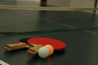 卓球台