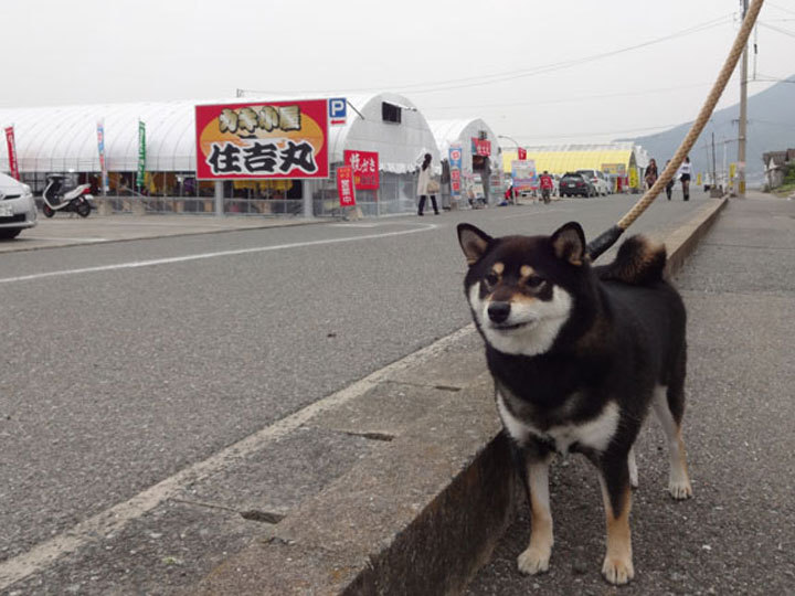 コテージ 凜 宿泊予約 楽天トラベル