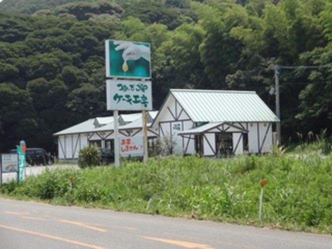 つまんでご卵　ケーキ工房