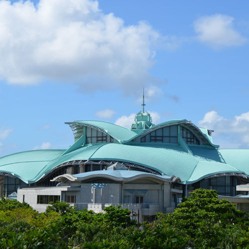 ＫＡＲＩＹＵＳＨＩ　ＬＣＨ．Ｉｚｕｍｉｚａｋｉ　県庁前 - 写真 169