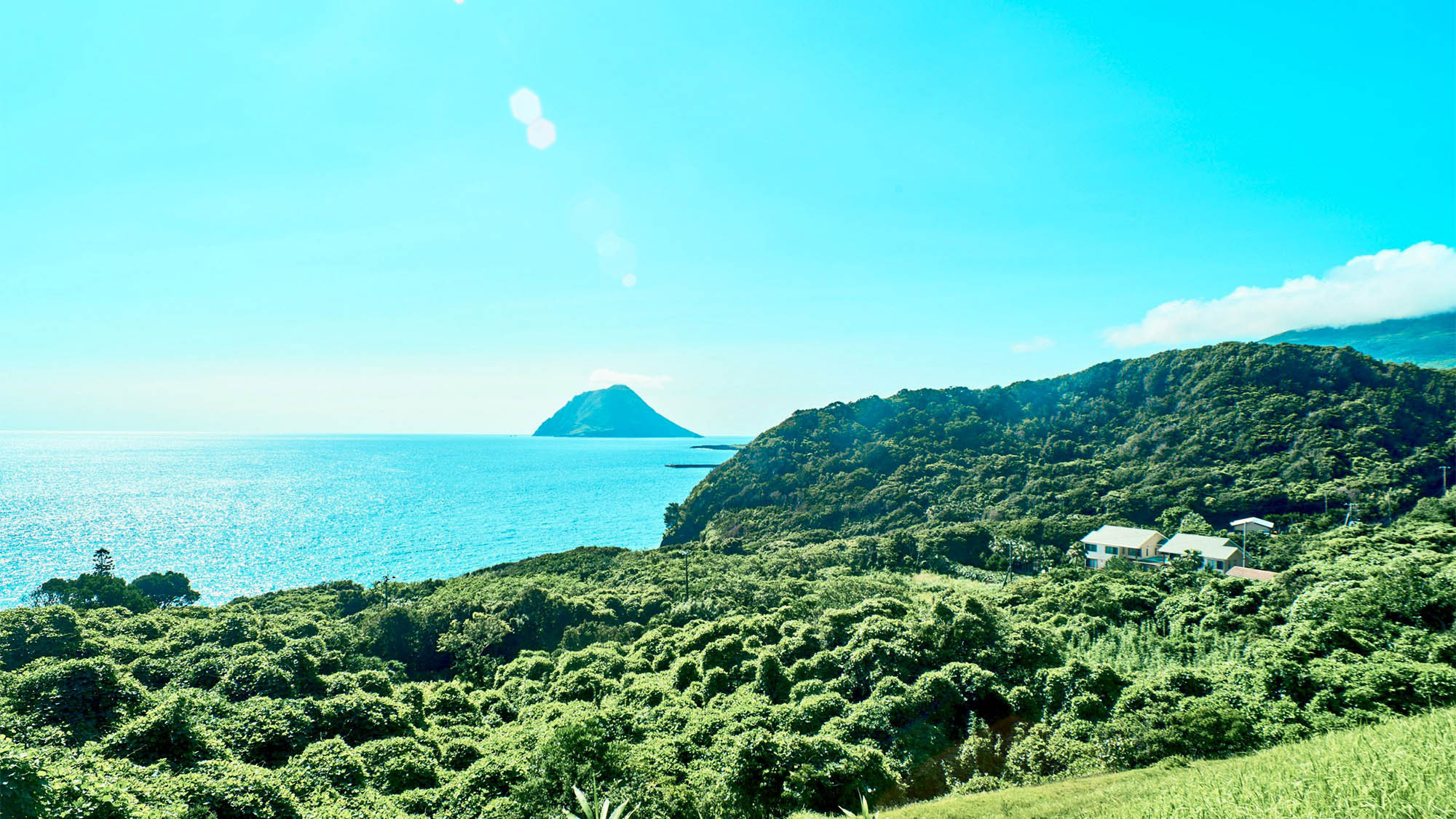 八丈島プチホテル満天望 八丈島 宿泊予約 楽天トラベル