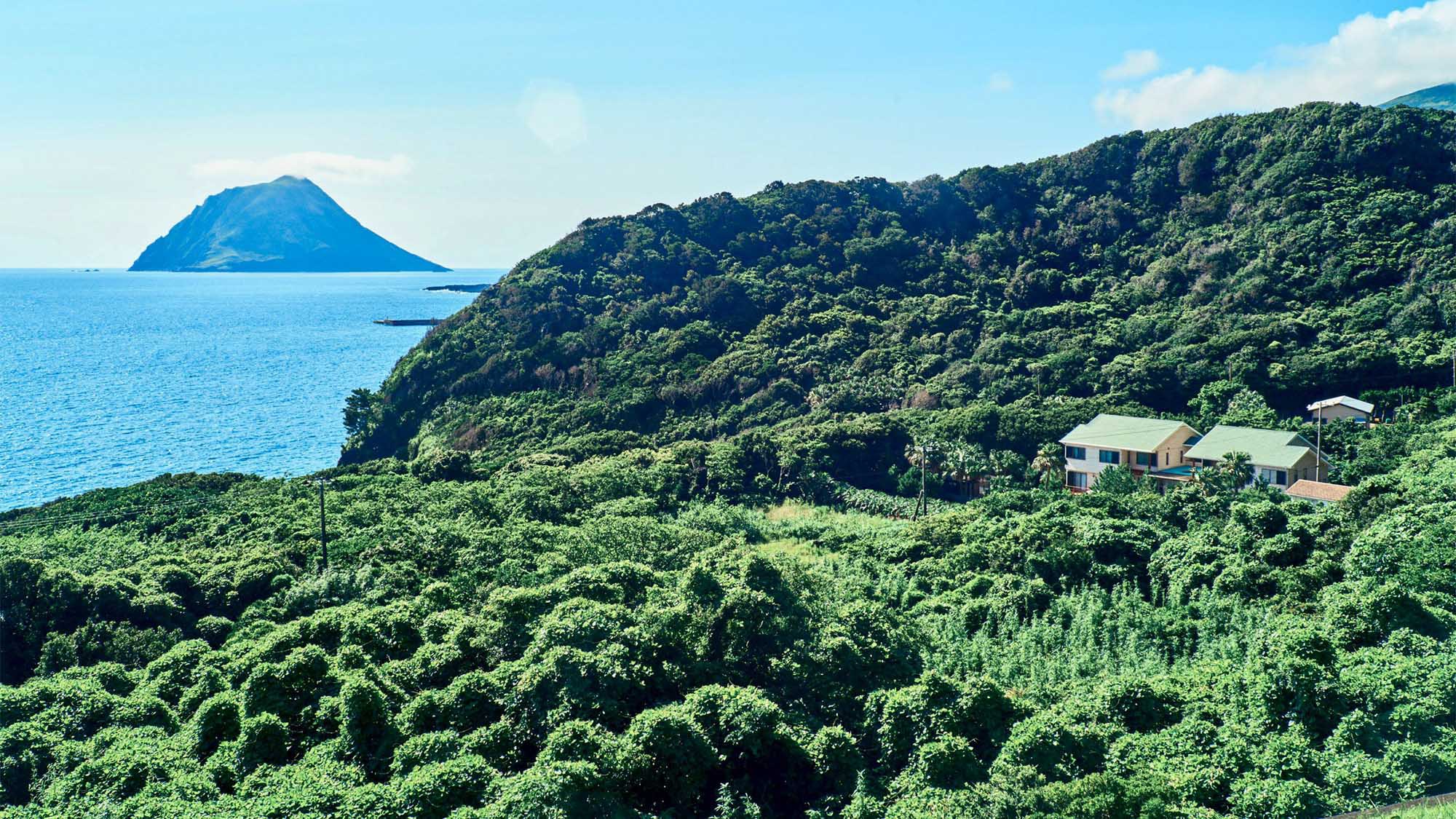 八丈島プチホテル満天望 八丈島 宿泊プラン一覧 楽天トラベル