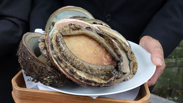 伊勢神宮献上の逸品｡柔らかで肉厚｢国崎のあわび｣写真はイメージです