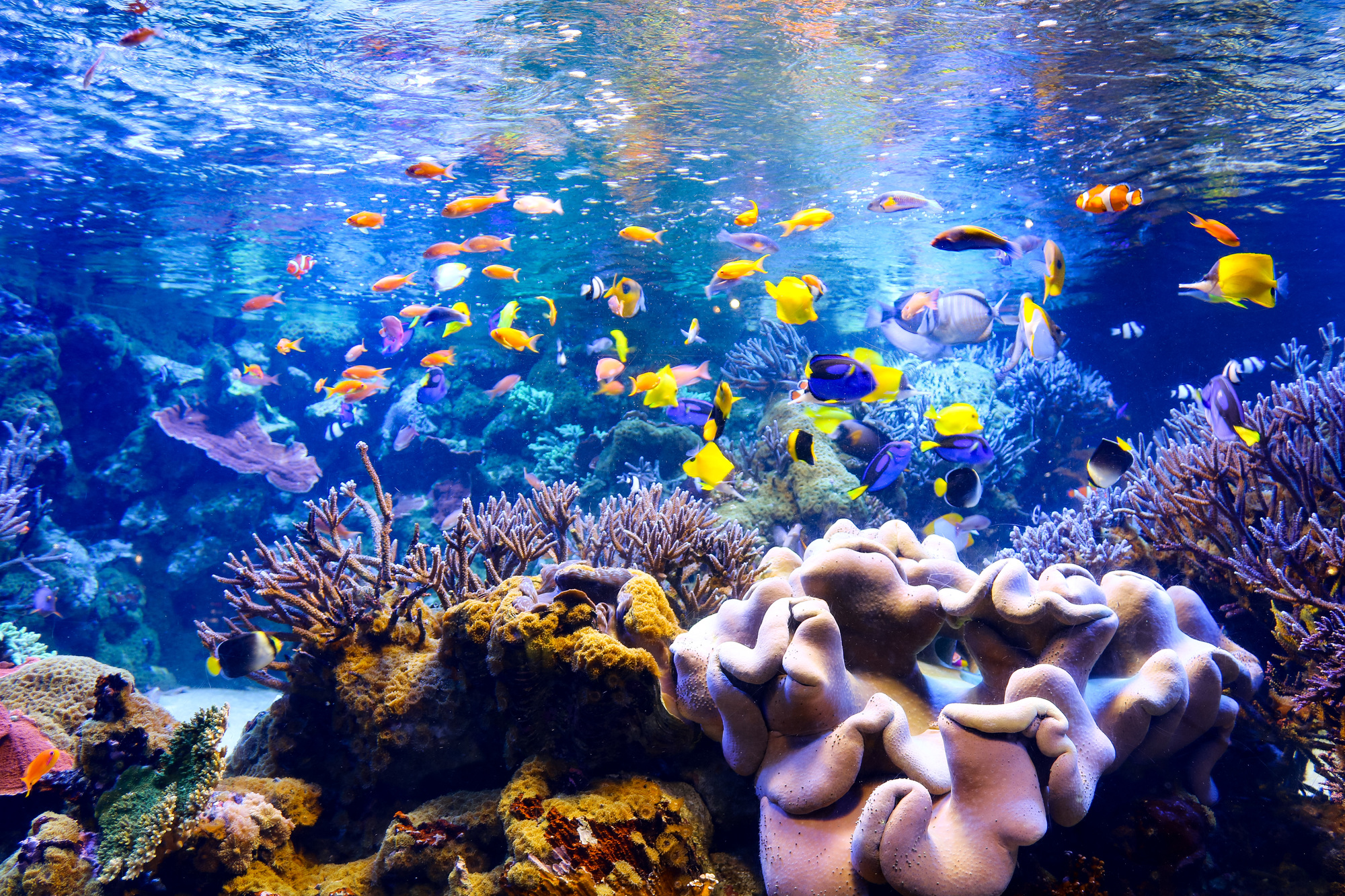 鳥羽水族館