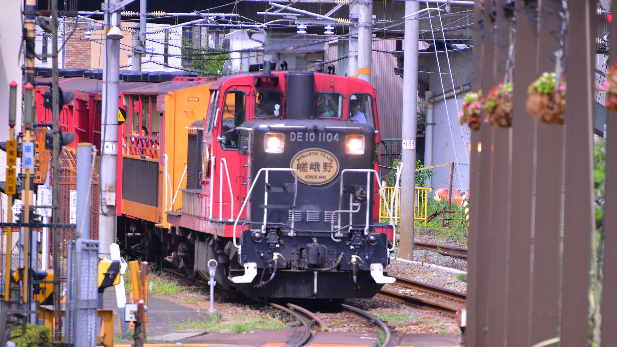 ・【トロッコ列車】窓がなく、天井がガラス張りまたはオープンになっている車両もございます