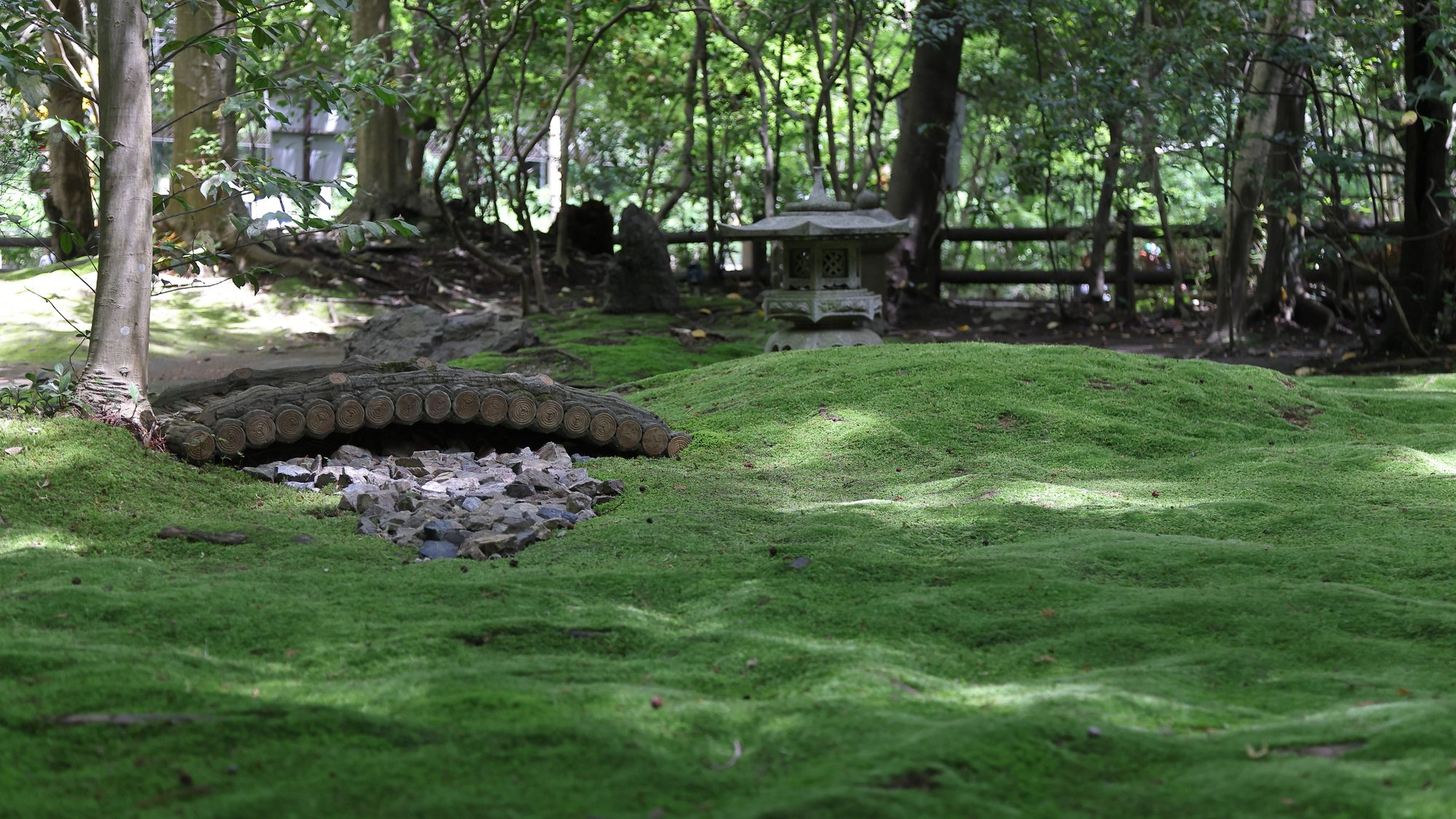 ・【野宮神社】手入れの行き届いた庭園を眺めながら、いにしえに想いを馳せてみては？