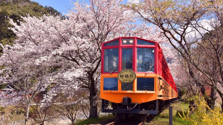 ホテル ビナリオ嵯峨嵐山 写真・動画【楽天トラベル】