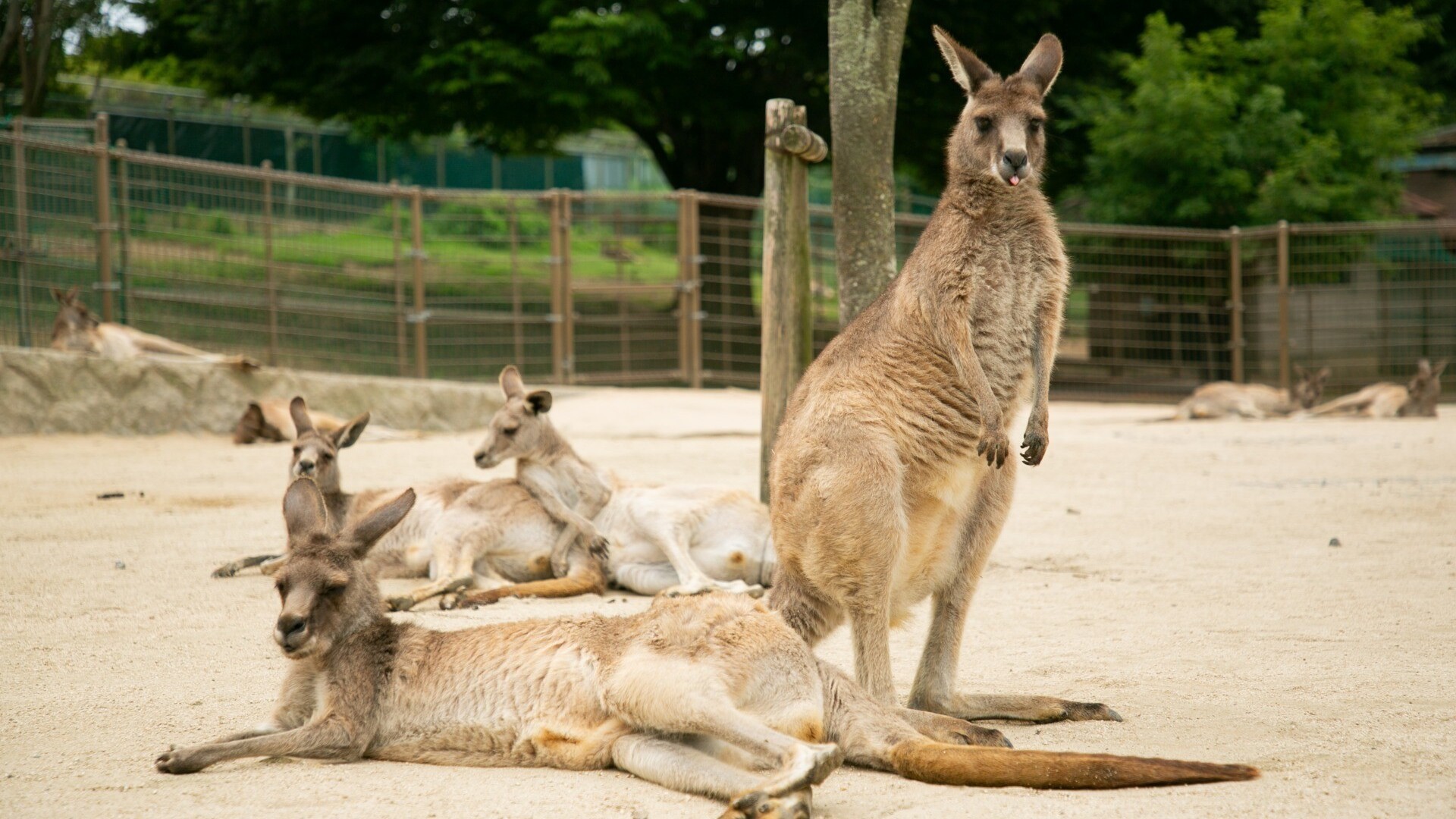 響灘緑地グリーンパーク