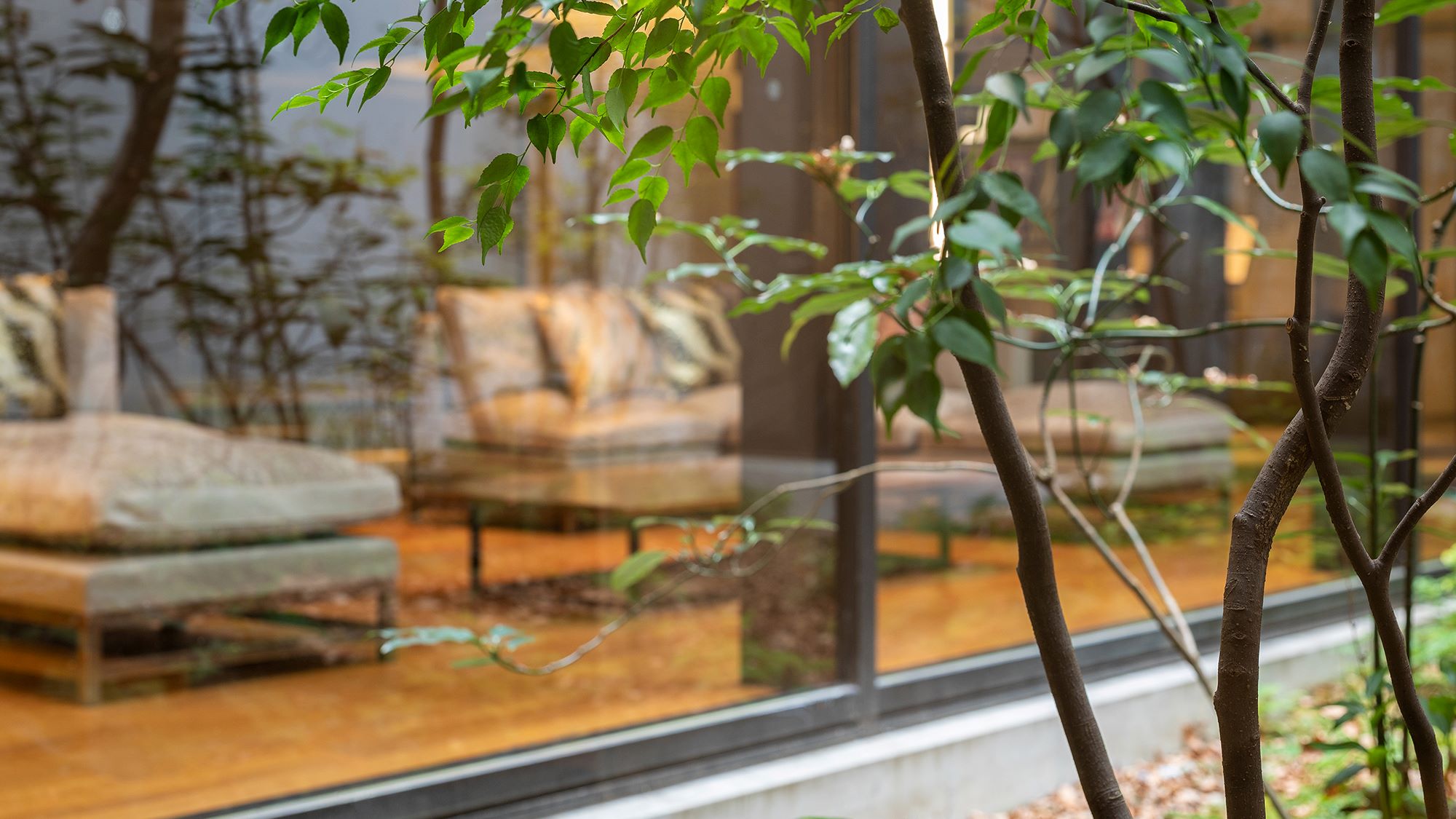 季節のうつろいを感じられる中庭