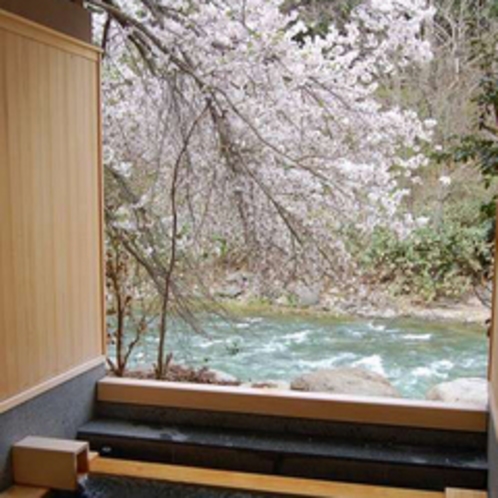 【貸切露天風呂　木漏れ日の湯】春は満開の桜を愛でながら花見風呂。この美しい風景を二人で独占できる贅沢