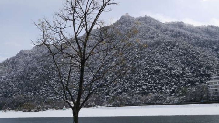 【冬の金華山】雪を被った姿は冬ならではの光景です