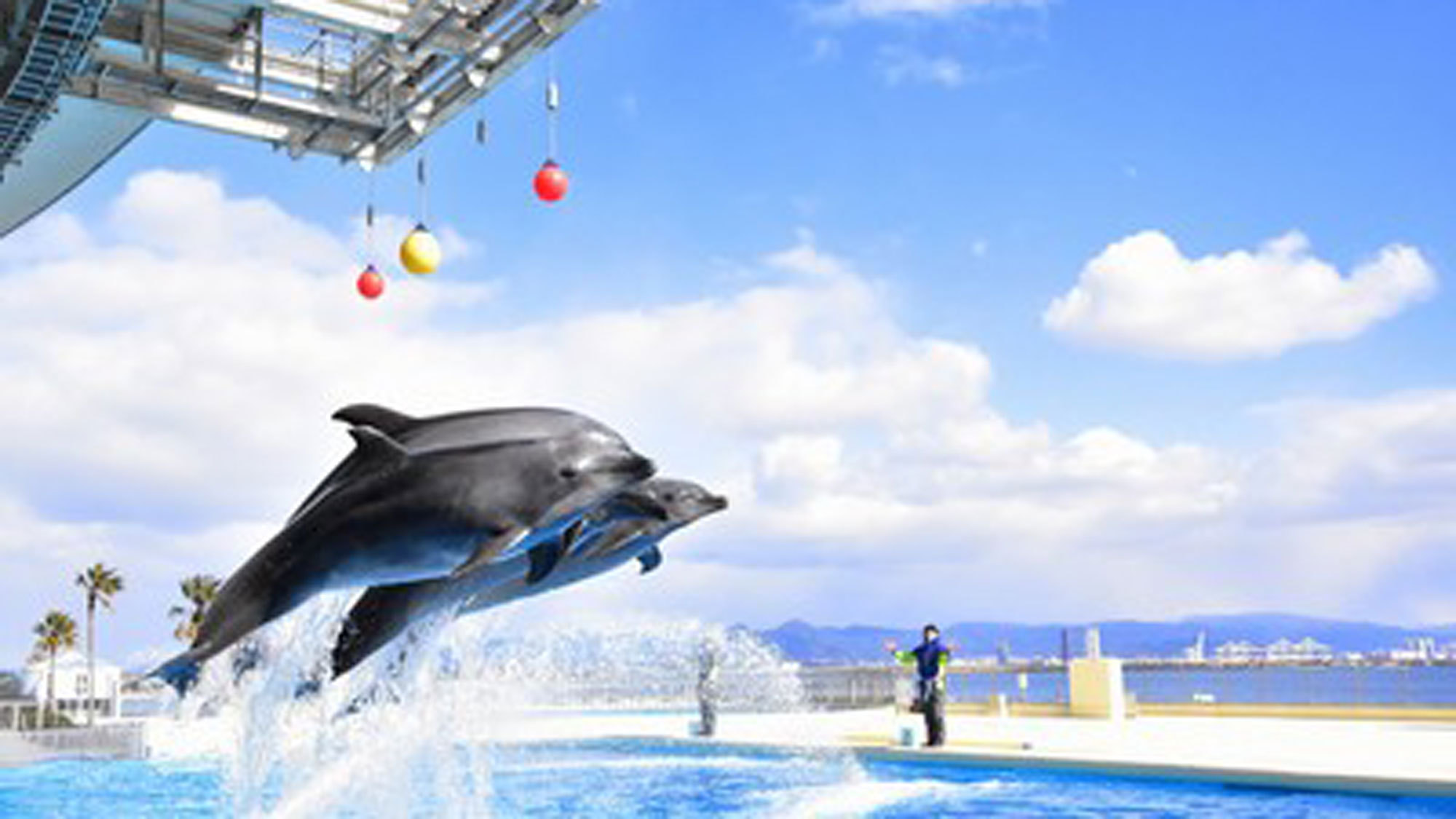 【うみなかライン×マリンワールド水族館海の中道】へ船でGO！！入場券付きプラン／駐車場無料／朝食付