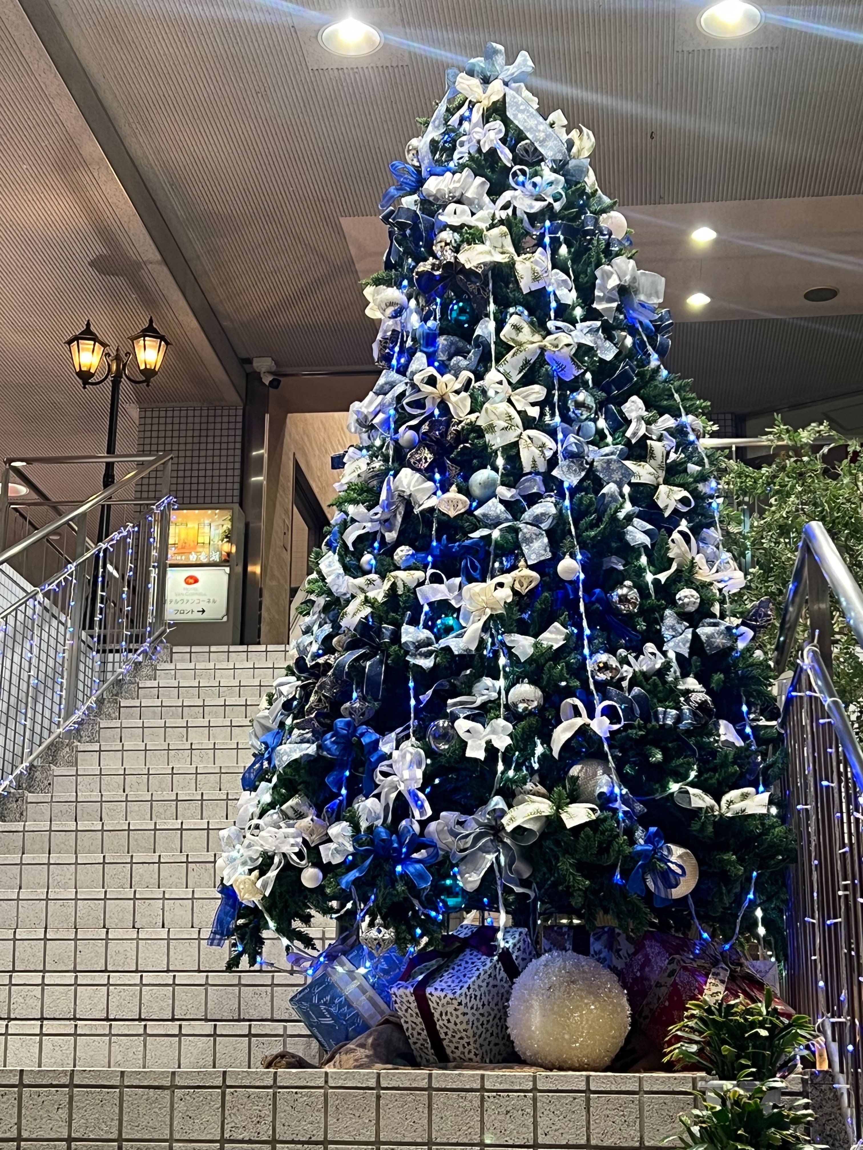 2024年クリスマスツリー
