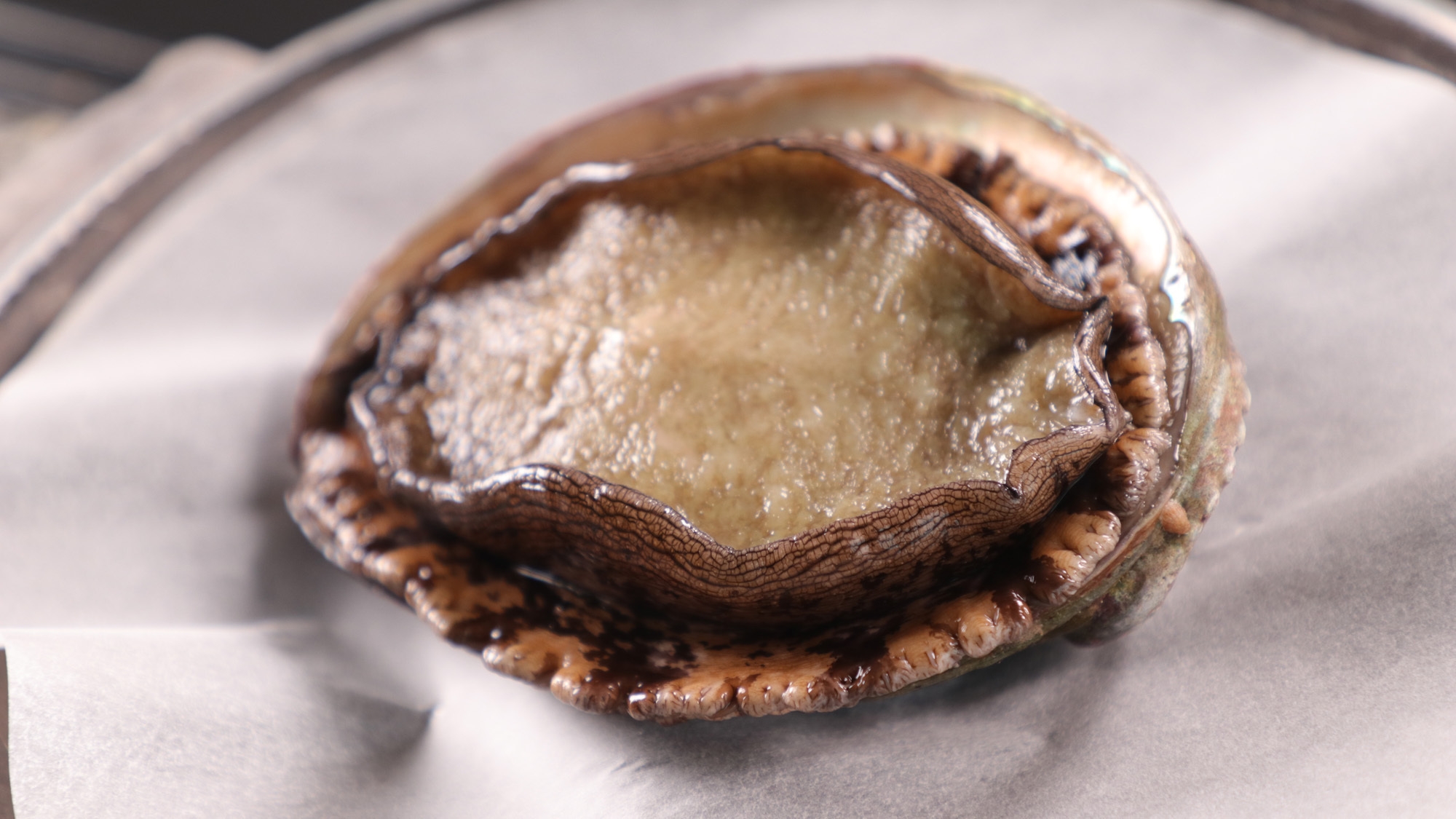 ◇一人に一つずつ！イセエビ＆アワビ◇高級食材を味わおう！