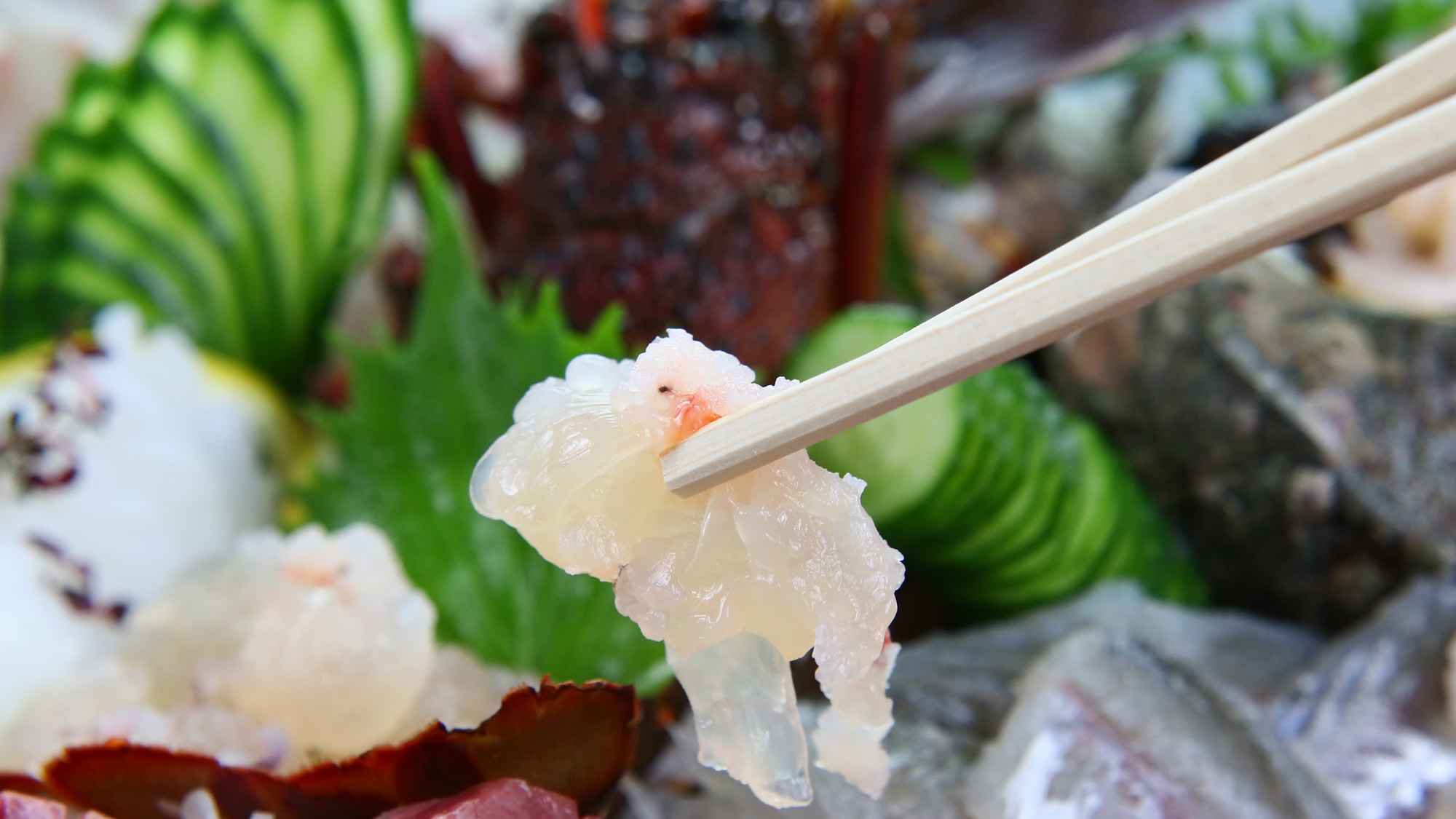 伊勢海老イメージ