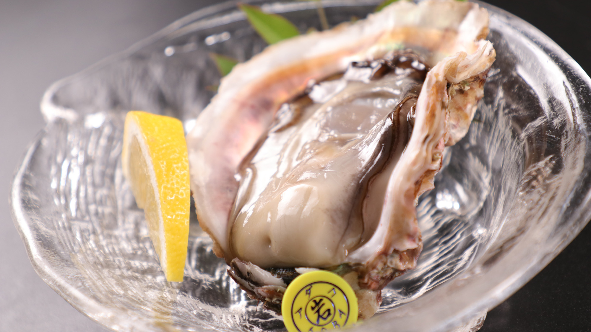 春～初夏限定の味わい「岩牡蠣」