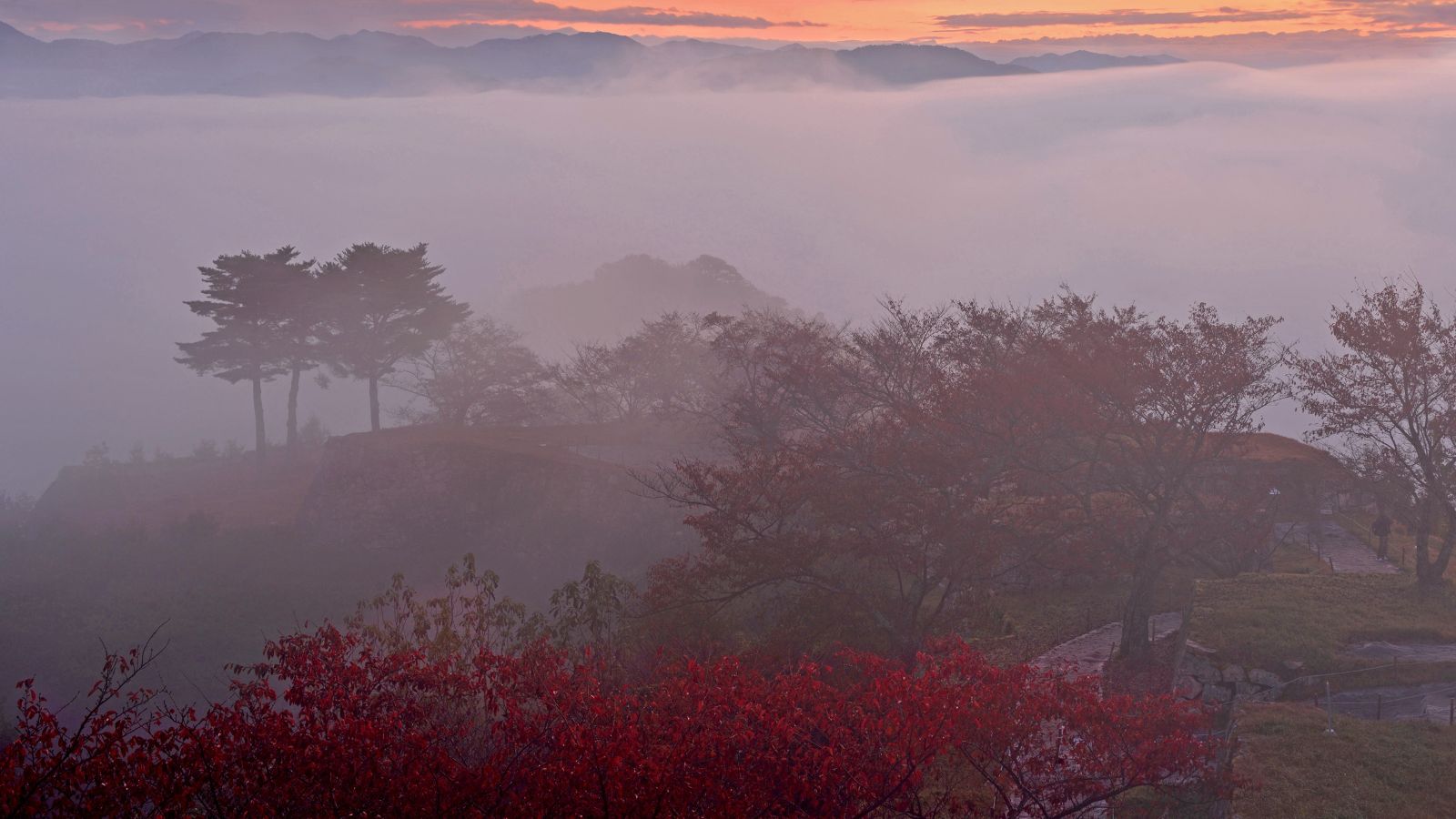 山々や谷間を覆う白い雲がまるで海のように広がる幻想的な景色