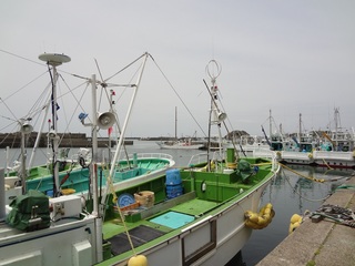 イルカウォッチングの銚子の港