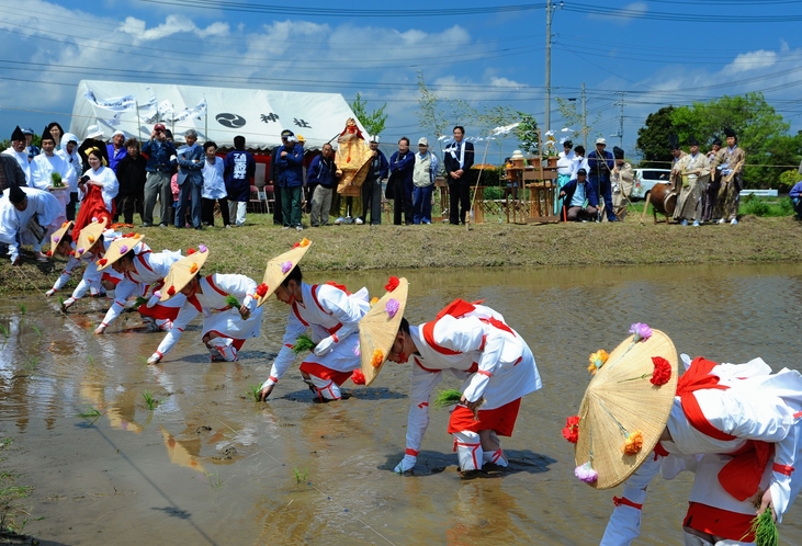 御田植祭　毎年4月29日に、早乙女による田舞や手植えが行われます。