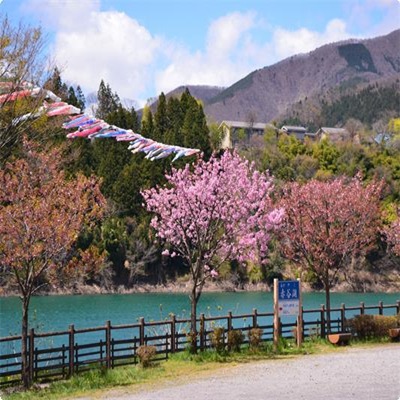 春の赤谷湖と鯉のぼり