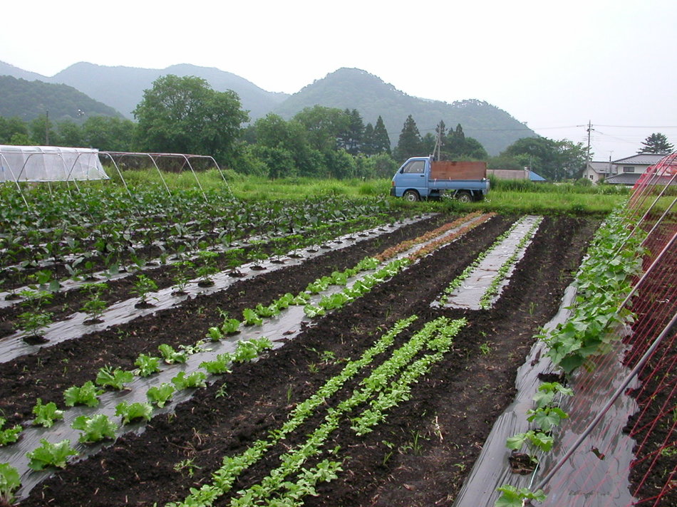 【1泊朝食付】開放感ある内湯は一晩中入浴ＯＫ！ ＊チェックイン15:00〜24:00
