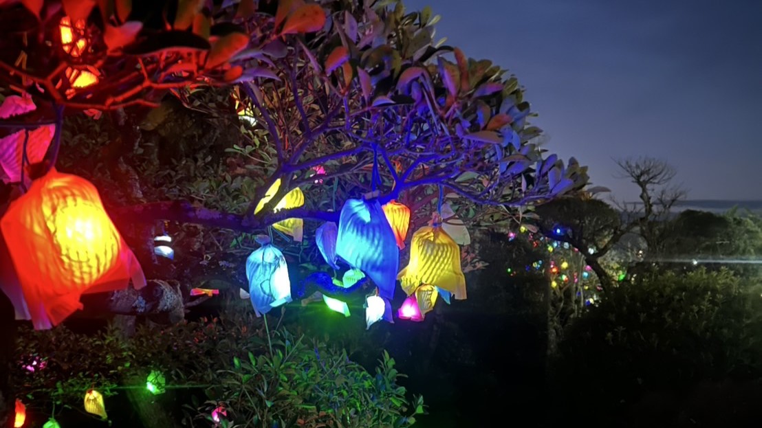 【2024‐2025】ひかりの実