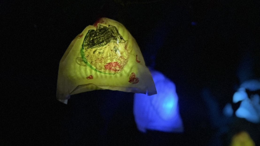 【2024‐2025】ひかりの実