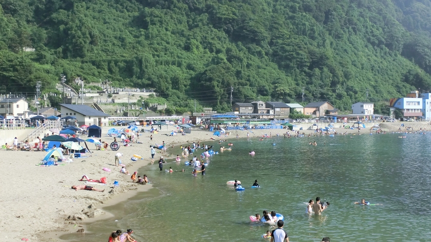 *こしの海水浴場/ファミリー、カップルに人気の夏の定番スポットは徒歩約10分。