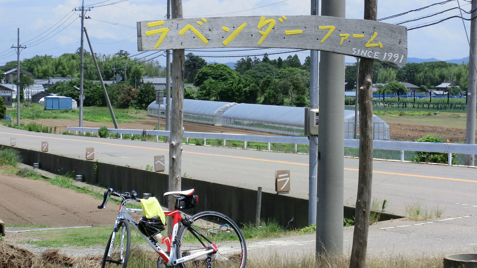 *周辺観光・ラベンダーファーム/広大なラベンダー畑もおすすめのスポット。