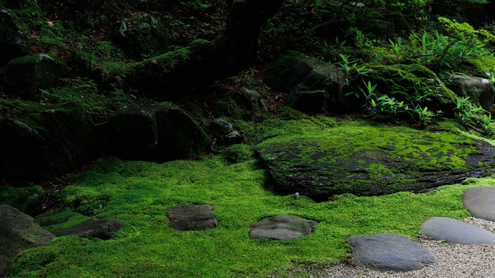 【季節の創作懐石】江戸時代の情緒漂う名園名湯の宿でのひととき