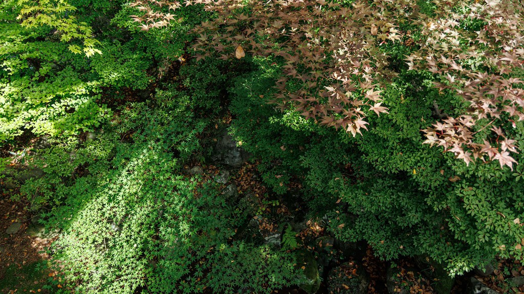 ■【富士】本館和室14畳/四季を映す日本庭園を望む