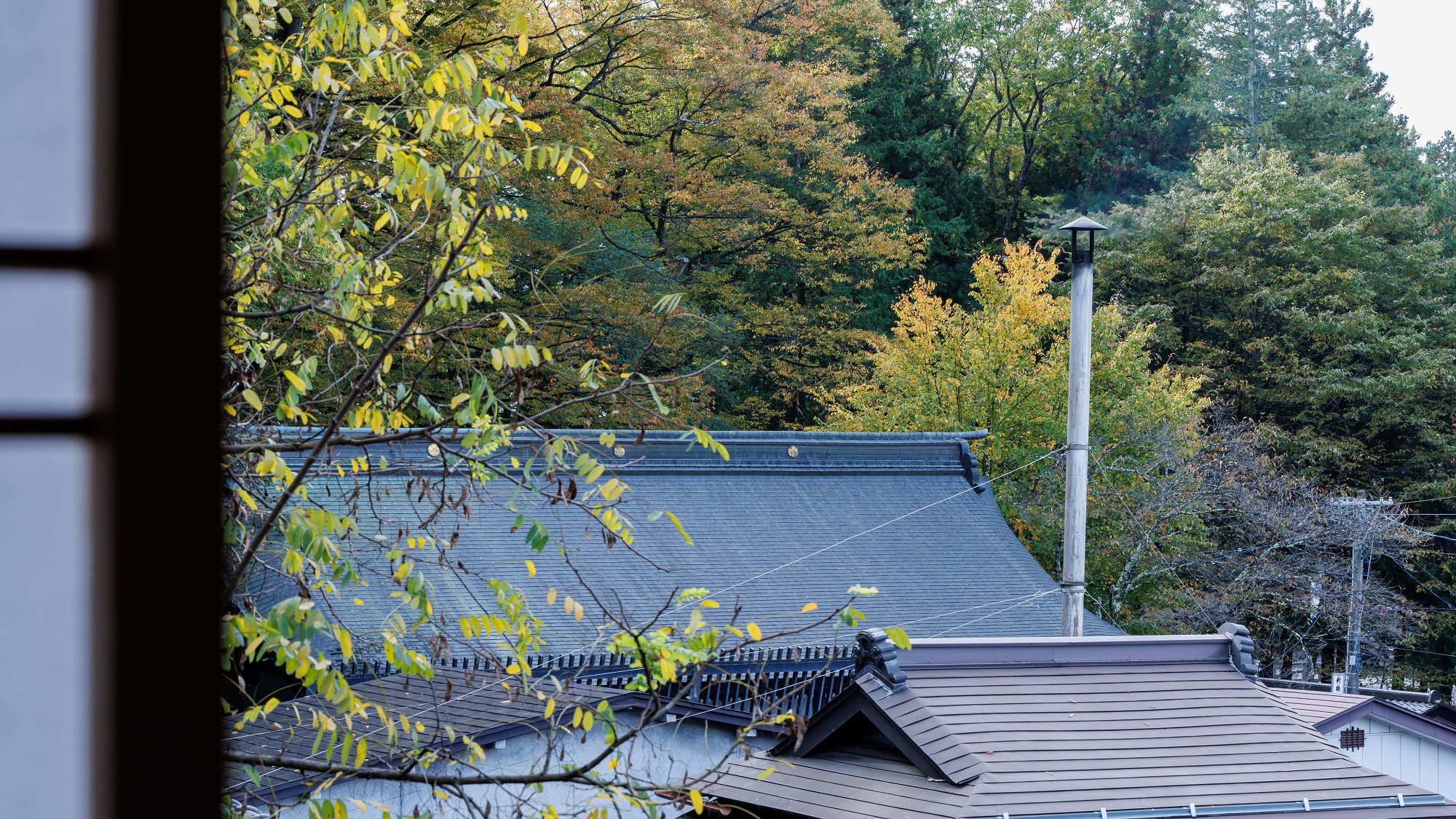 ■【羽衣】和室13畳＋広縁／情緒ある諏訪大社の杜を望む