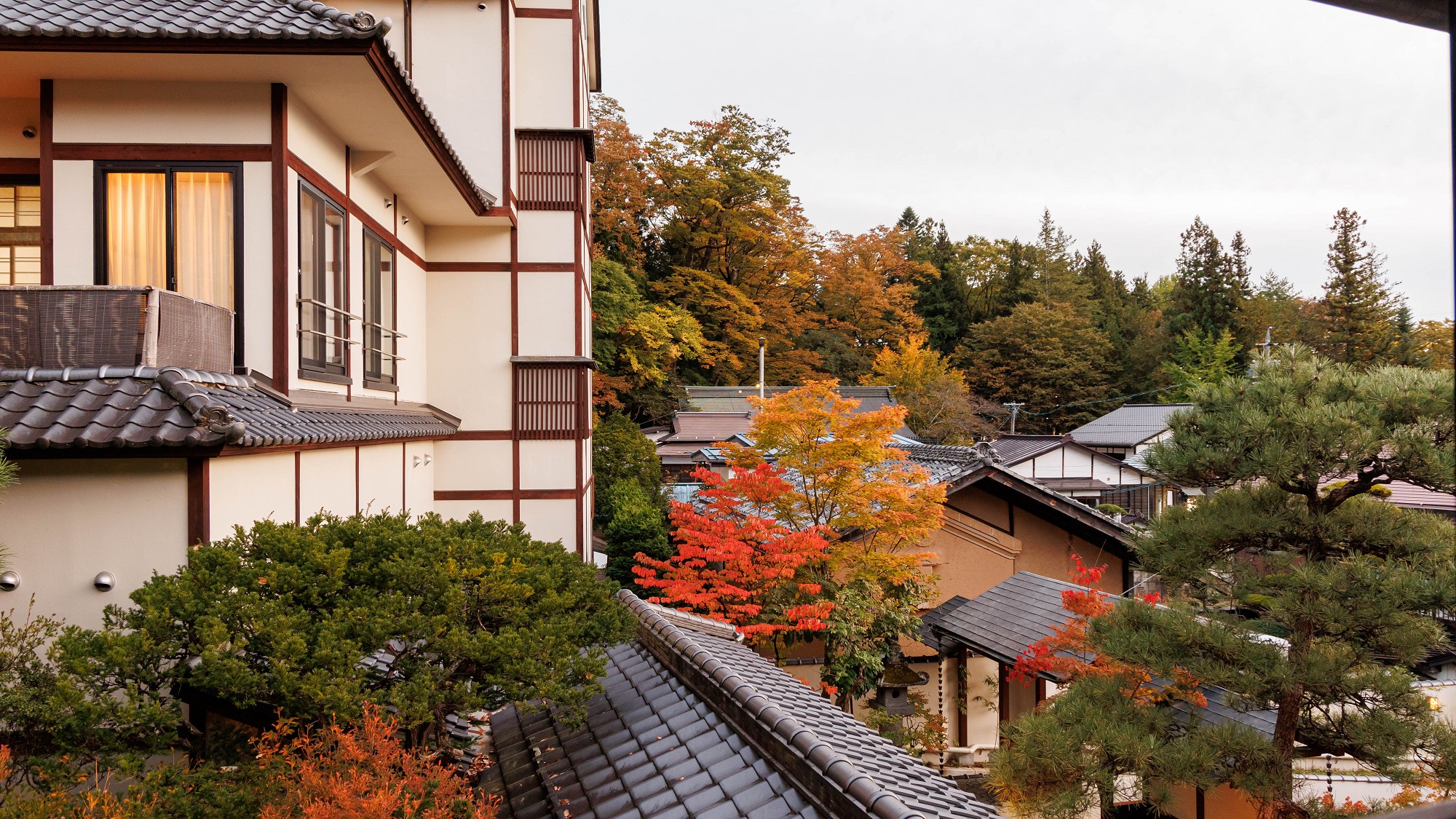 ■【皐月】本館和室8畳／情緒ある諏訪大社の杜を望む　眺望（イメージ）