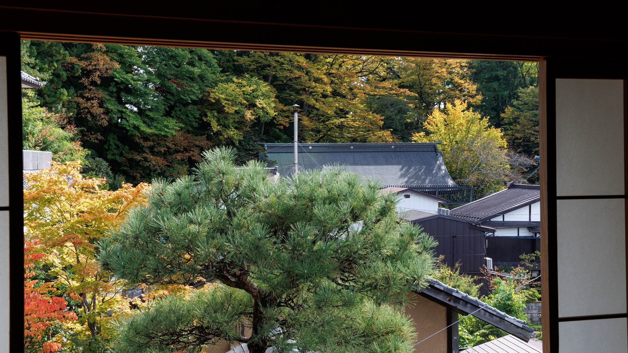 ■【霧島】本館和室14畳／情緒ある諏訪大社の杜を望む　眺望（イメージ）