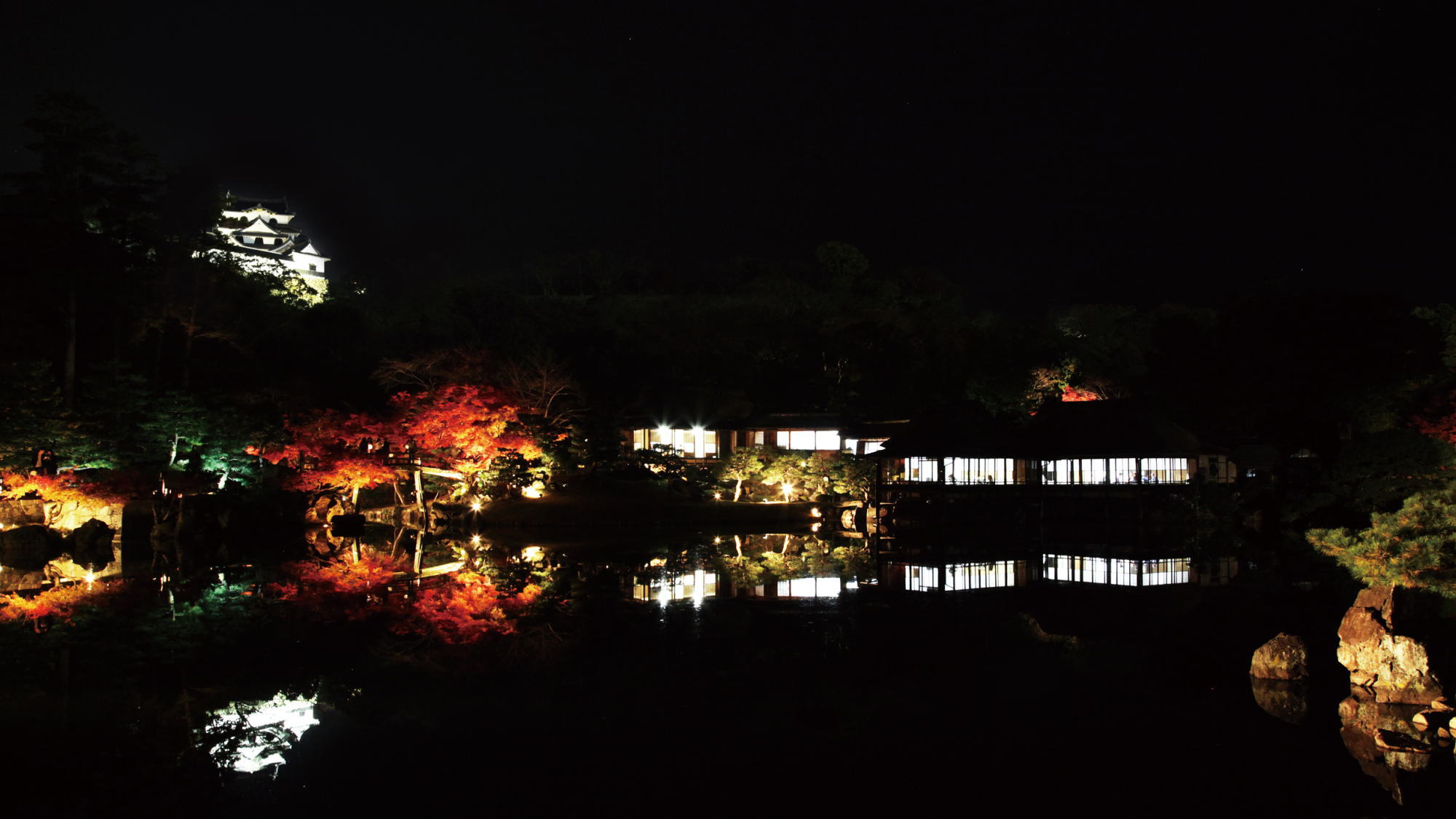 【秋の景観】美しい紅葉とライトアップ