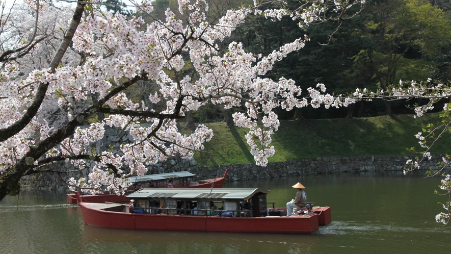 【春の景観】桜を眺める屋形船