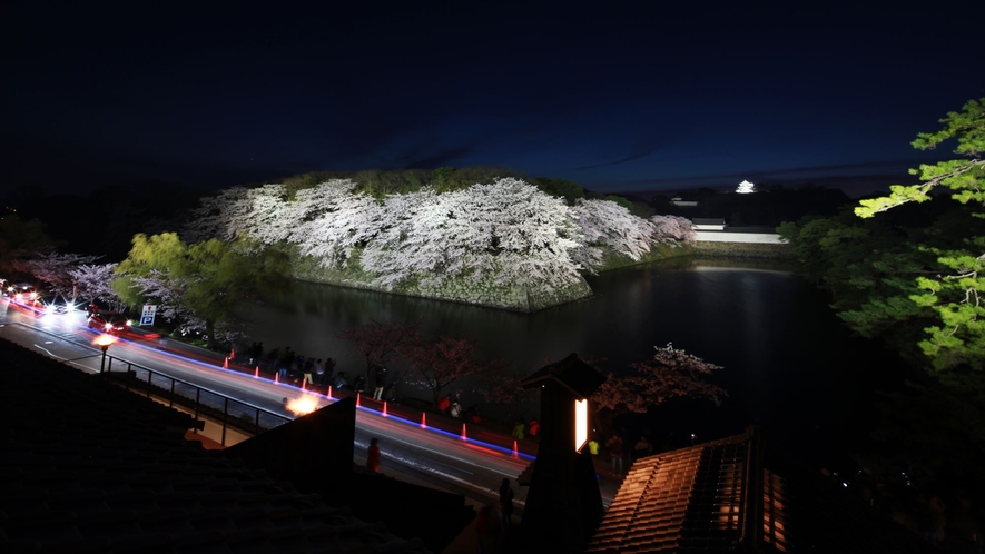 【春の景観】夜桜ライトアップ