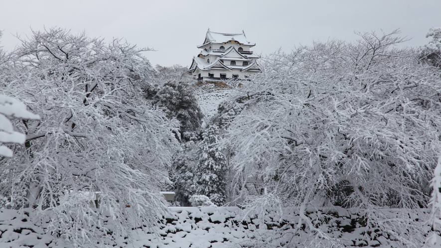 【冬の彦根城】雪化粧が美しい彦根城