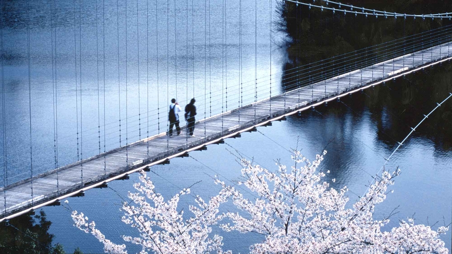 【周辺】布部ダム公園にある、夢の吊橋「白椿大橋」は抜群の存在感（当館より車で10分）