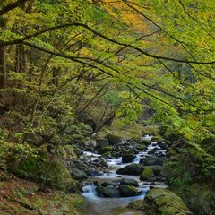 ■塩原の自然風景、秋渓流