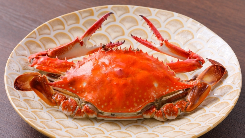 【9月までの期間限定】＜海の幸尽くし＞主人イチオシの獲れたて魚介類！充実の島グルメ（グレードアップ）