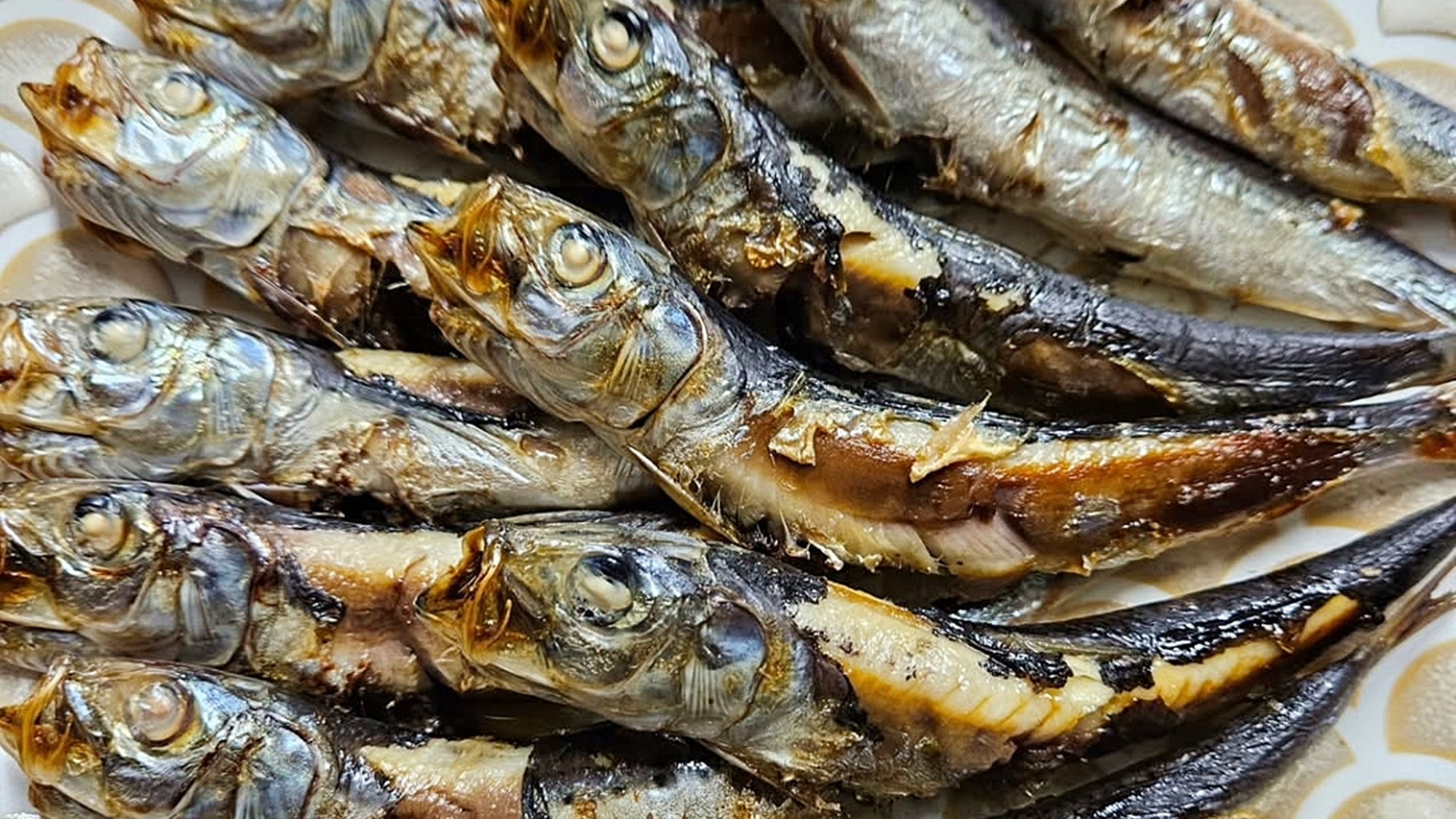 ＊いわしぴっぴ